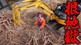 大量の根っこに困ってます。。
