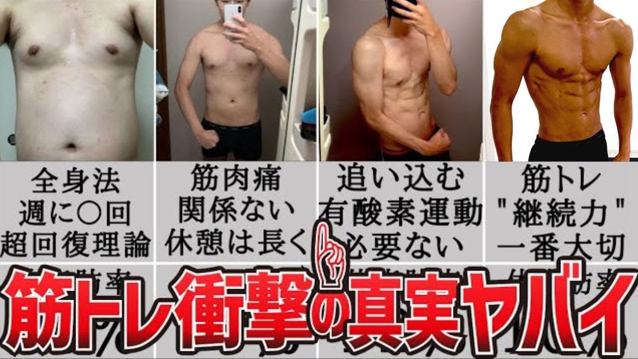 【衝撃】最新科学で証明された本当にヤバい筋トレの新常識【2年間全ての学びを30分で解説】