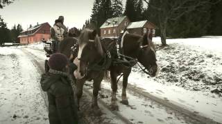 Zakázaný dokument o koních - Návrat koní na Šumavu