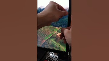 Privacy Screen Filter for Monitor & Laptop | Anti-Glare, Anti-Scratch, Data Protection Shield