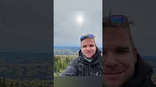 Preview of return to Puggins!