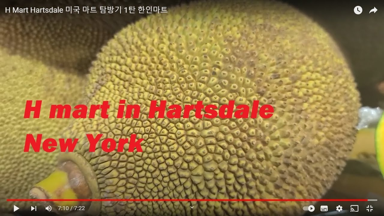 H Mart Hartsdale 미국 마트 탐방기 1탄 한인마트 YouTube