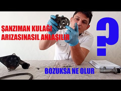 Video: Şanzıman ön contasının sızdırmasına ne sebep olur?