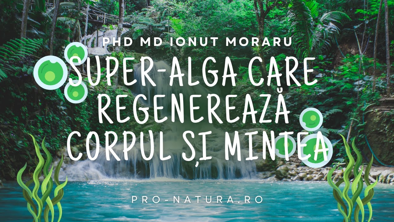 🧠🌱 AFA Algae 3xBiotics – Super-alga care regenerează corpul și mintea