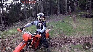 You Can Teach An Ol Dog. . .Old Tricks.