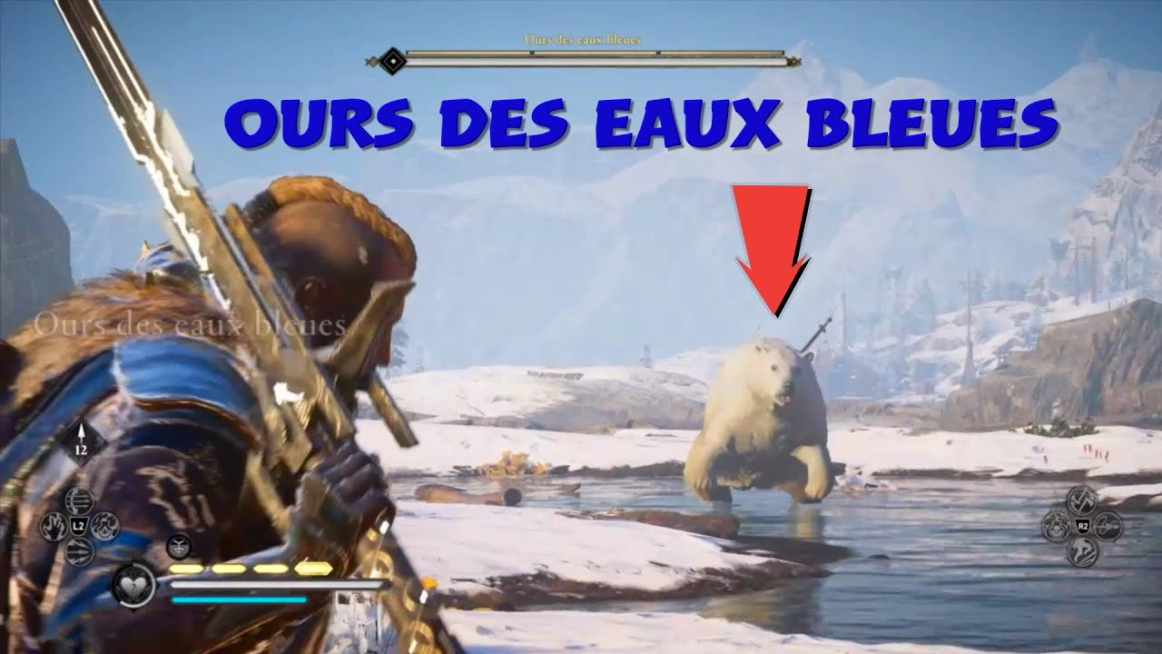 Ours des eaux bleues Assassin's Creed® Valhalla YouTube