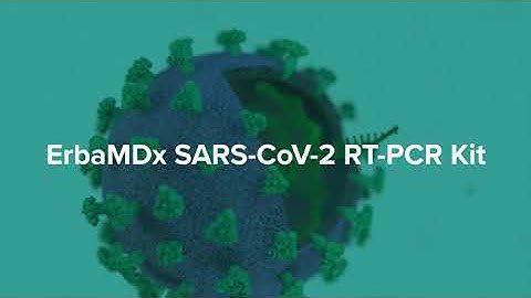 ErbaMDxSARS-CoV-2 RT-PCR Kit Video