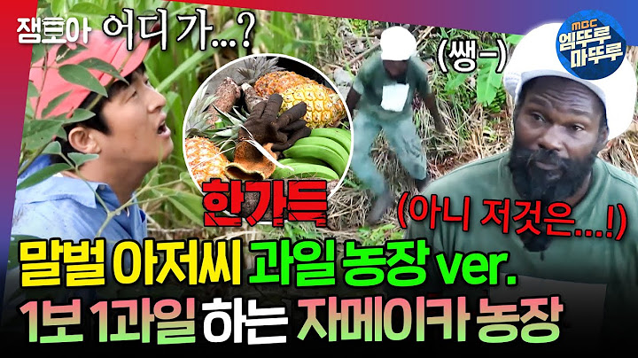 [#음악일주] ??: 기안 1분만 기다려! (우다다🏃‍♂️) 절벽에서 말벌 아저씨 달리기하는 조셉에 당황한 기안 | #기안84 #빠니보틀 #유태오 MBC241006방송