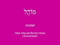 JLV Lifecycle Birth #OnwardHebrew