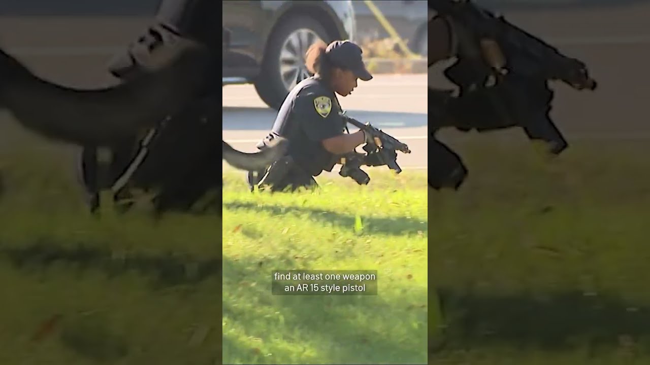 Police In South Suburbs Search For Armed Car Thieves