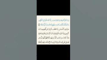 من سورة الكهف #اكسبلور #المصحف #لايك #الرحمن