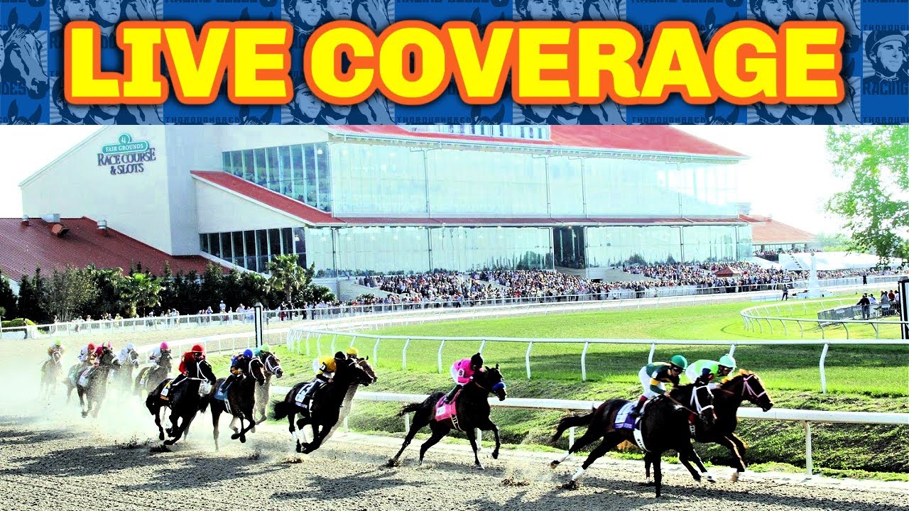 Risen Star Stakes Day 2024 Fair Grounds Live Coverage YouTube