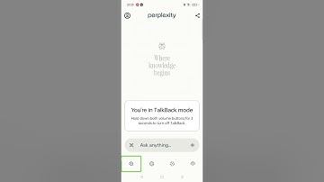 How to use Perplexity AI voice mode with TalkBack for blind useer don