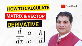 Derivative of a Matrix | Derivative of a Vector