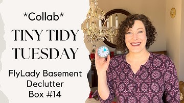Tiny Tidy Tuesday Collab | Box #14 | FlyLady Babystep Basement Declutter