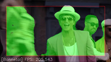 Bonnetal -  Semantic Segmentation People vs Background by A. Milioto et al.