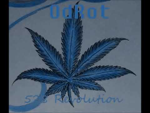 OdRot - 528 Revolution