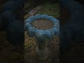 Rain Falling in Old Garden Birdbath • Gentle Rain Sounds for Deep Sleep & Relaxation #shorts