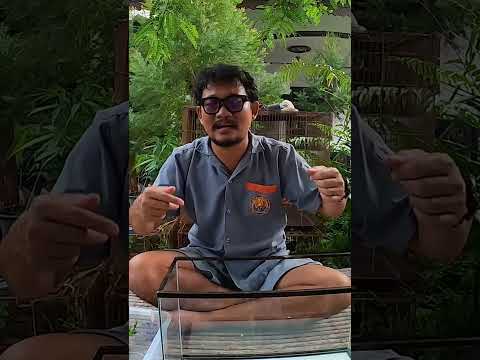 ปลาที่สมัยก่อนมีเยอะจนไม่มีค่า