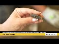 NCC hosts public archaeological digs to uncover history at Leamy Lake Park
