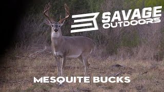 Mesquite Bucks - Savage Outdoors
