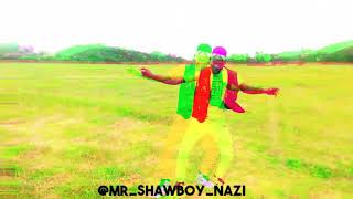 Nqobile Dansuer Look At Her Official Dance Video By Mrshawboynazi