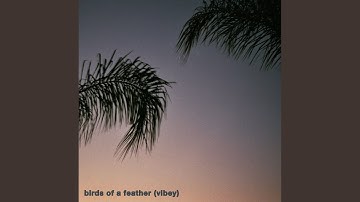 Birds of a Feather (Vibey)