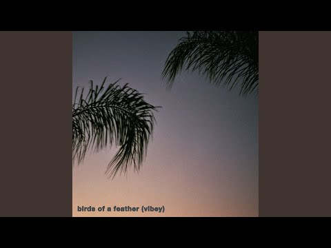 Sunset Party - Birds of a Feather (Vibey)