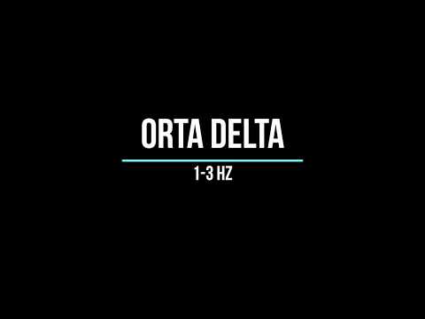 Orta Delta Dalgası