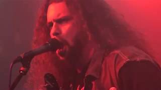 BongCauldron - Back Up Bog Roll