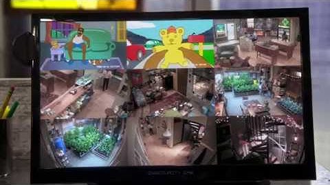 colours from the last holi