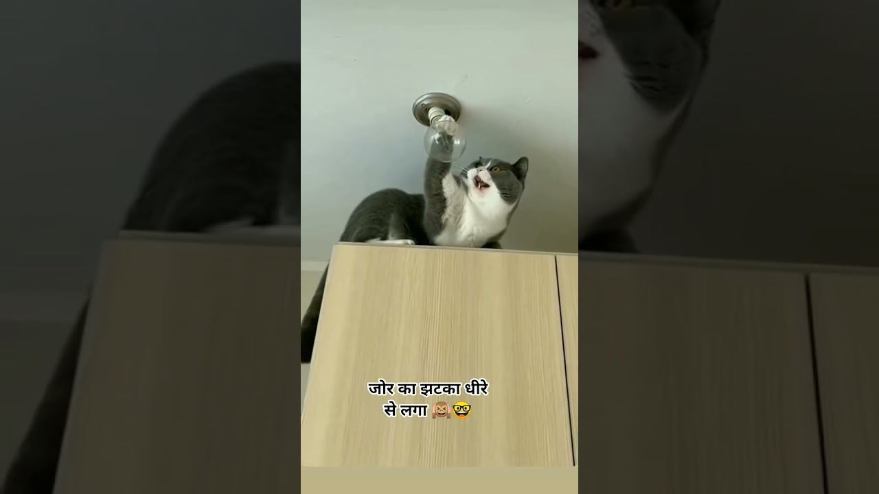 समझाने से भी नही समजी 👍