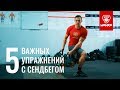 5 самых важных упражнений с сэндбэгом |  sandbag workout домашняя тренировка с болгарским мешком