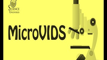 Science Uncovered MicroVIDS Episode 7: How do violins work?