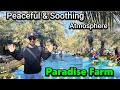 Paradise farm dammam part two  visit to different animals  many more  chalain 