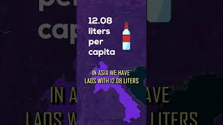 Which Country Drinks the Most Alcohol? #shorts Which Country Drinks the Most Alcohol? #shorts