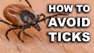 How to avoid ticks