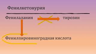 10 класс. Биология. Наследственные болезни человека