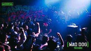 MAD DOG | antiSOCIAL, Mumbai