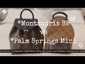 Montsouris BB vs Palm Springs Mini | LV Mini Backpacks | Lala Shaw
