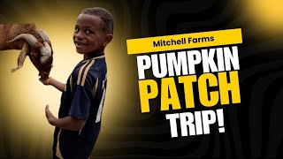 Field Trip to Mitchell Farms' Pumpkin Patch (Mississippi)