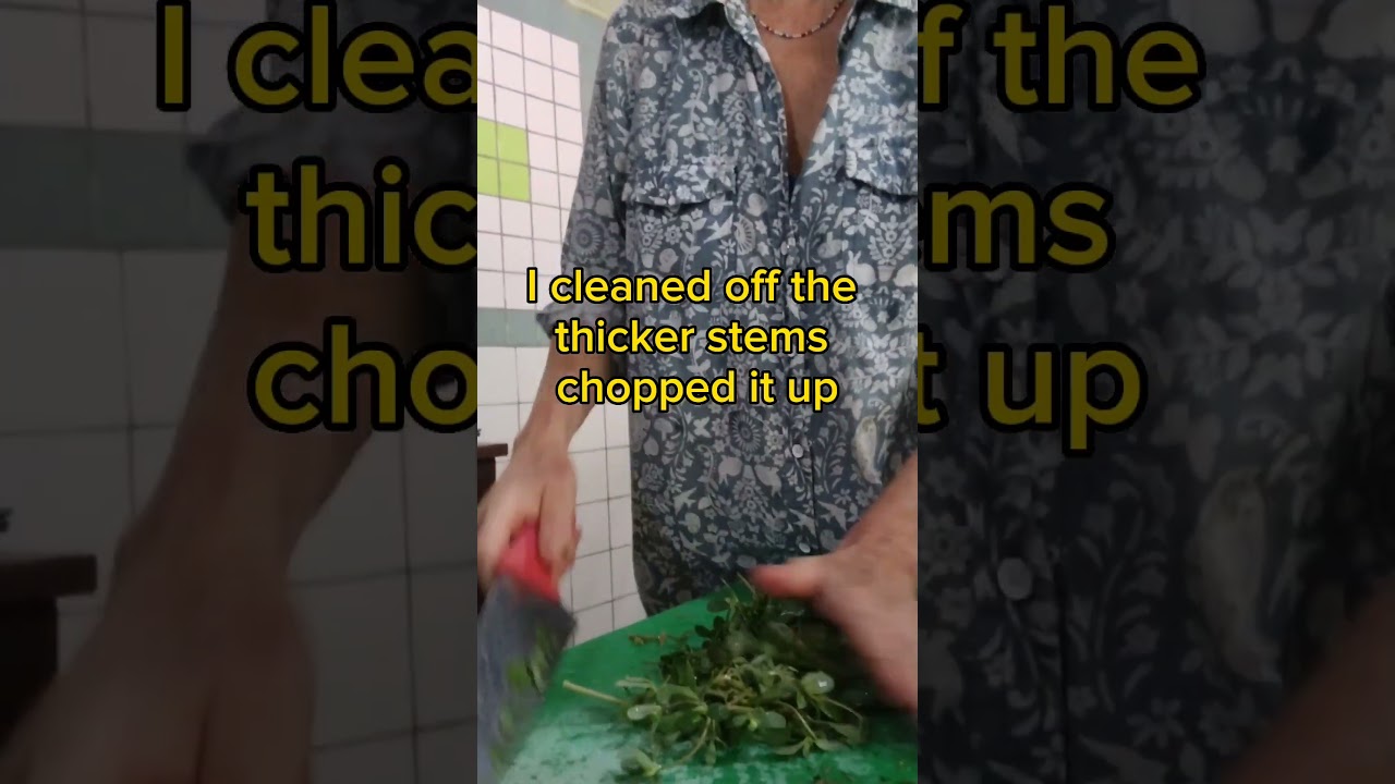 How to eat for free from your yard! 