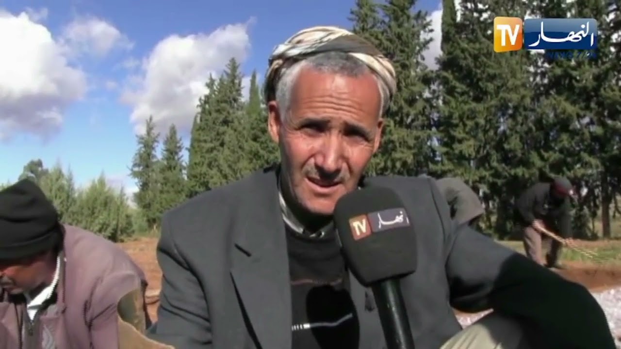 سعيدة: مشتلة سيدي ميمون.. الإرادة تتحدى العراقيل