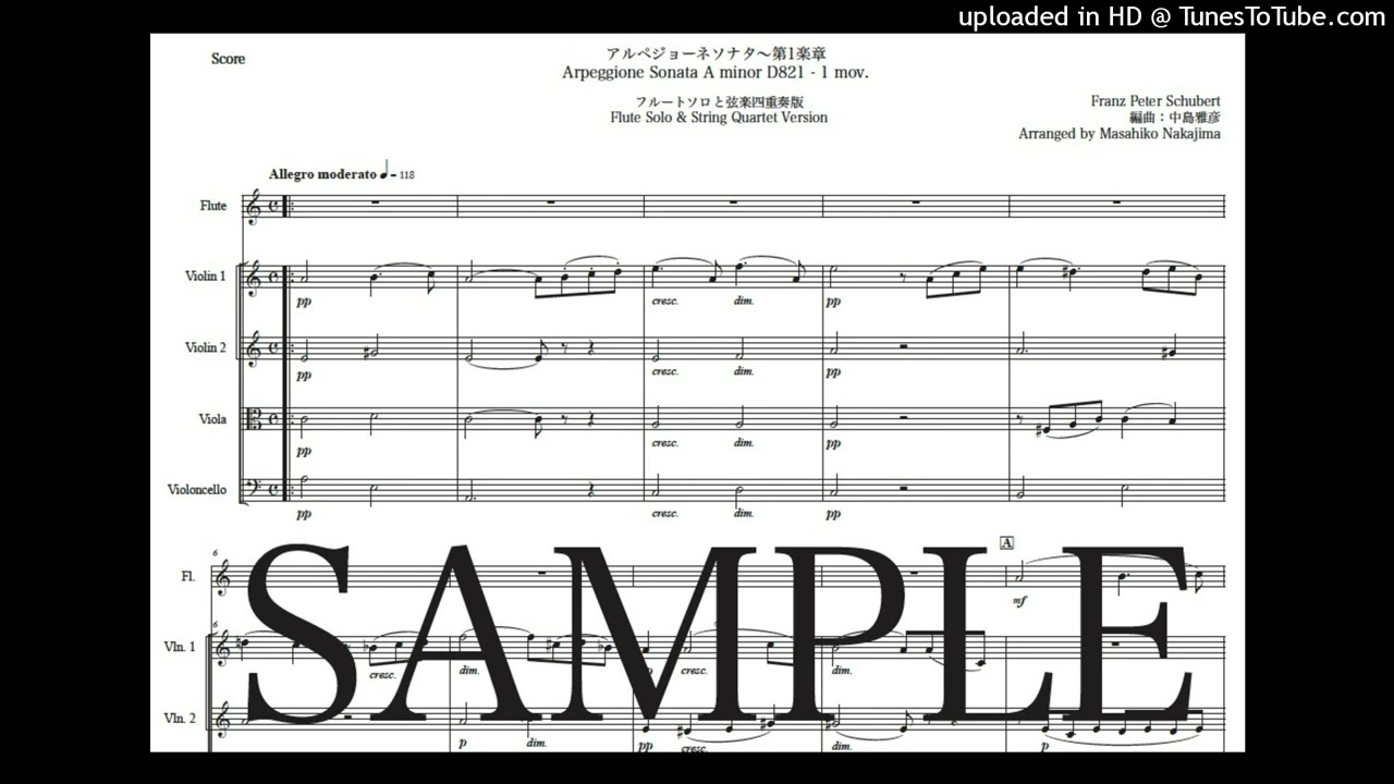 シューベルト「アルペジョーネソナタ〜第1楽章」フルートと弦楽四重奏