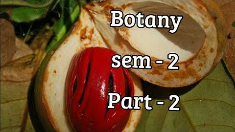 Kerala University BSc Botany previous questions -  BOTANY - Part - 2 (sem 2)