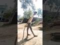#shorts #video #video