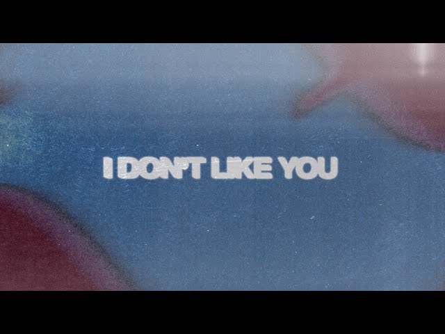 Bloody Civilian - I Don'T Like You (Lyric Video)