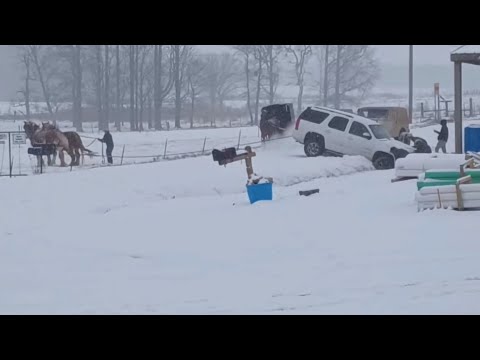 VIDEO | Amish man, horses help pull SUV out of snow in Ethridge, Tennessee