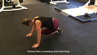 Infinity Training-Animal Flow-Levitating Side Kick Prep