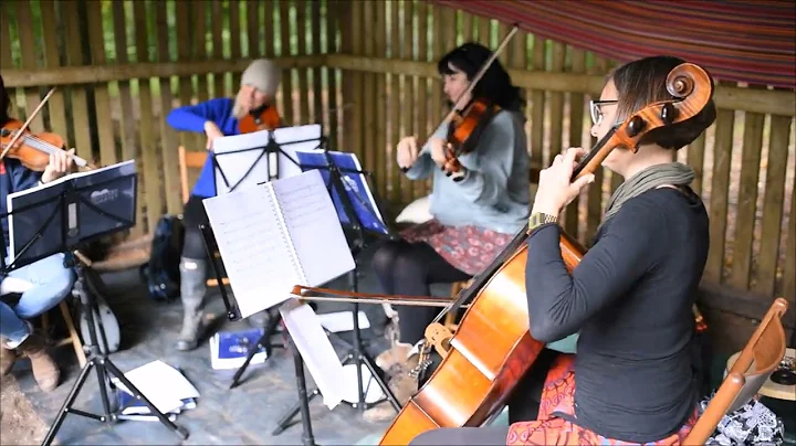 String Quartet Cover of Let It Go from Disney's Frozen